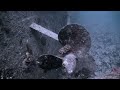 SCUBA Diving Egypt Red Sea - Underwater Video HD