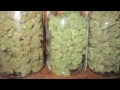 Kat williams jokes about weed - mixed into a song by Dj publo