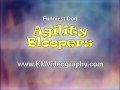 Funniest Dog Agility Bloopers