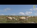 Destination Ireland