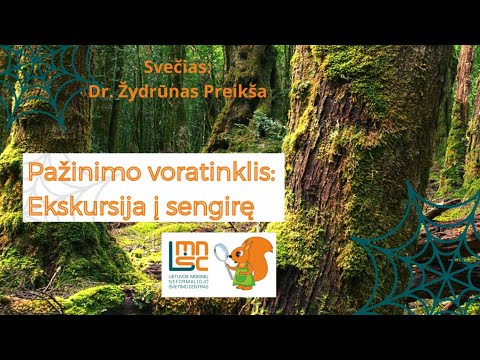 LMNŠC nuotolinių gamtos pamokų ciklas „Pažinimo voratinklis“. Ekskursija į sengirę