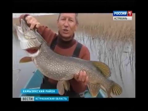 вести с рыбалки вести с рыбалки