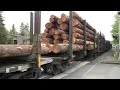 HD Rare 5 engine freight train PW 2303 (4-29-09)