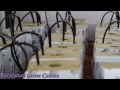 Grow Room! Grow Hydroponic by SuperCloset