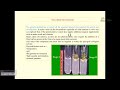 Plant tissue culture basics