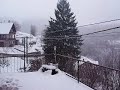 Sneg v Baški grapi