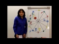 Capricorn November 2013 Horoscope Forecast