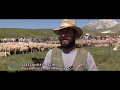 Praterie: Actions in support of sheep grazing