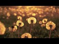 Background Music Instrumentals: Two Hours New Age Slow Music