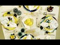 Diane von Furstenberg Home Collection. Director Aaron Platt. Creative Director Madonna Badger