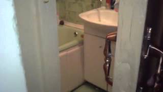 O gato que gosta de privacidade quando está na casa de banho