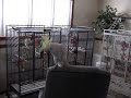 Snowball (TM) - Another One Bites The Dust