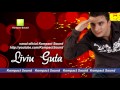 Liviu Guta - N-am dat inapoi Manele Noi 2012 , Muzica Noua 2012 , HIT