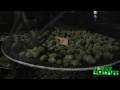 Drying Big Buds - Marijuana Growing Tips by Jorge Cervantes
