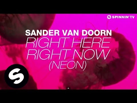 Sander van Doorn - Right Here Right Now (Neon) [Lyric Video]