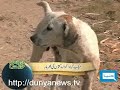 Dunya TV-Meri Darti Meri Dunya-15-02-2010-1