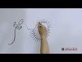 La Fecundación in vitro explicada con sencillez
