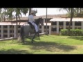 CABALLOS EN VENTA - CRIADERO VILLA MARÍA