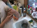 Raising Orphan Kittens by Itty Bitty Orphan Kitty Rescue