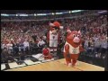 Chicago Bulls Luvabull Cheerleader Surprised With Marriage Proposal During Bulls/Heat Game