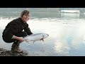 Fishing with Rod: Family Coho Salmon Trip