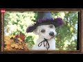 The Uzoo Gallery: Halloween Pet Costumes