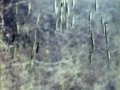 B-52 Dropping Lots & Lots of Bombs - Carpet Bombing
