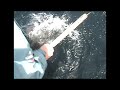 Sitka Alaska fishing