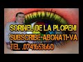 Hiturile Anului 2014 Colaj Manele Noi Petrecere Chef de Chef - Sorinel de la Plopeni