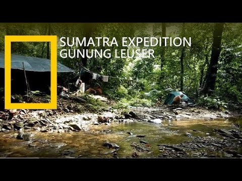 MENDAKI GUNUNG LEUSER