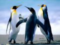 Windows 7, How-To Change your Desktop Background Picture