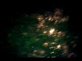 Boot leg fireworks gone wrong