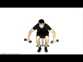 Reverse Rear Dumbbell Raises