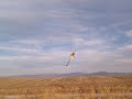 Kyle Dahl flying a Voltz powered Henseleit TDR