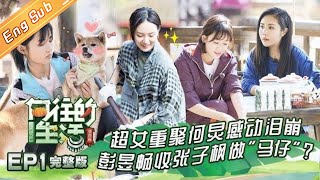 《向往的生活3》第01期 完整版:05超女重聚惹哭何炅 怪力少女周笔畅专挑力气活 Back To Field S3 EP1 《向往的生活3》第01期 完整版:05超女重聚惹哭何炅 怪力少女周笔畅专挑力气活 Back To Field S3 EP1