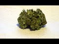 How to Tell Good Quality Weed from Bad