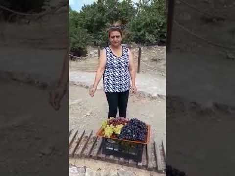 «Աշխարհի բոլոր հայեր դուք ալ Աղթամար եկէք»Գայանէ Գէորգեանի կոչը «Աշխարհի բոլոր հայեր դուք ալ Աղթամար եկէք»Գայանէ Գէորգեանի կոչը