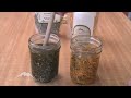 How to Make Herbal Infused Oils