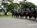 Protesto Fora Arruda - Cavalaria a postos e palavras de ordem