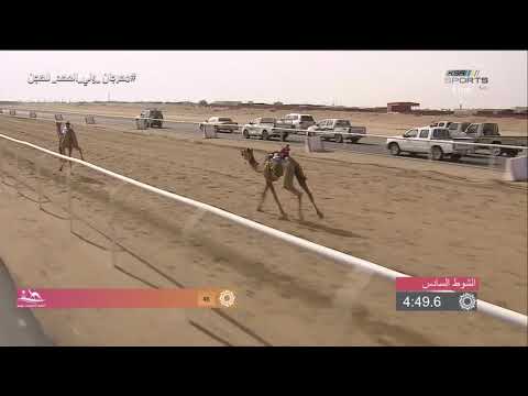 🎥 || جانب من منافسات أشواط #مهرجان_ولي_العهد_للهجن 🐪 ( الفترة المسائية ) الموافق ٢٠١٨/٩/١٧م - اتفرج تيوب
