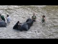 Bathing and having fun with our elephants