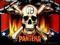 Pantera Strength Beyond Strength