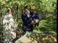 Vendemmia a Soave Vendemmia a Soave