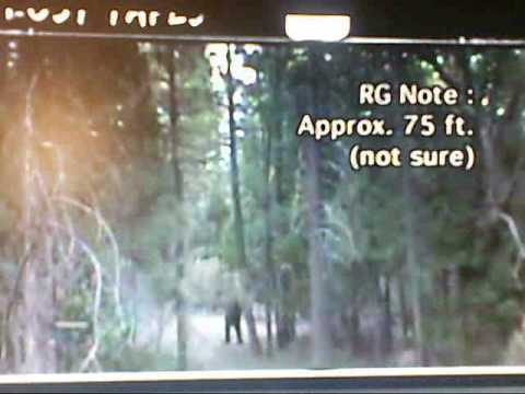 Lost Tapes Bigfoot full