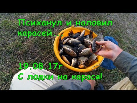 карась клюет но не ловит карась клюет но не ловит