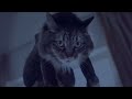 Katy Perry - Roar (Lyric Video)