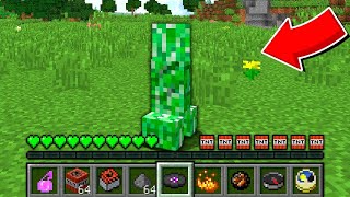 ถ้าเกิด!! ต้องมาใช้ชีวิตเป็นครีปเปอร์ 1 วัน ในมายคราฟ... 💣 (Minecraft)