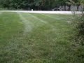 AFFORDABLE Zero Turn Lawn Striping Kit (simple homemade design)