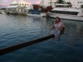 Shrew gets dunked in Bermuda.II