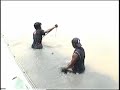 The largest Giant freshwater stingray brace ever captured whilst fishing in Thailand